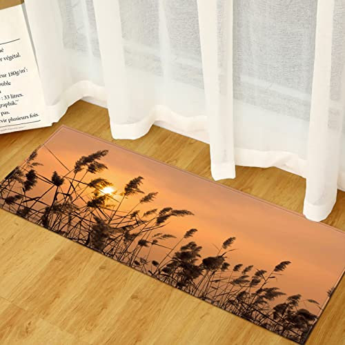 TFLABS Indoor Entrance Mat Sunset & Reeds Non-Slip Absorbent Dirt Entrance Rug Kitchen Non-Slip Mat Dirt Trapper Mat Front Door Mat Machine Washable Carpet 15.74 x 39.37 Inch
