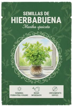 Semillas de Menta Verde para Jardinería Urbana y Cocina Saludable DECOALIVE