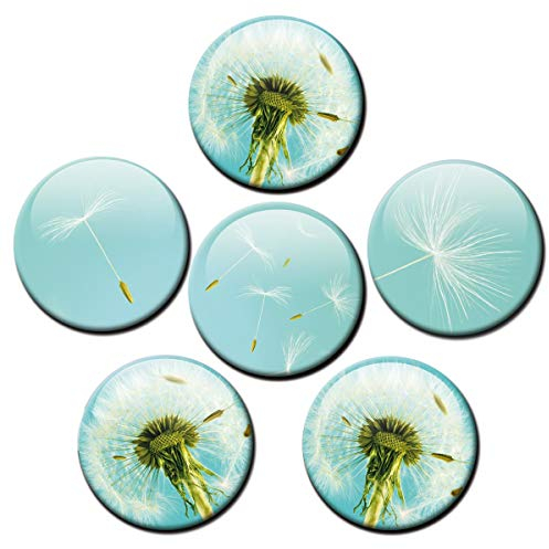 Magnete für Glasmagnettafel Pusteblume extra stark 6er Deko Geschenk Set Blumen lustig für Frauen Blumenfreunde groß 50mm rund Türkis