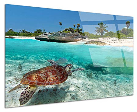 DECLINA – Cadre Mural tortue marine – Tableau Côte Atlantique Paysage Marin – Impression Haute Définition Sur Verre Acrylique – Atelier Français