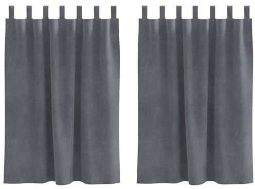vidaXL Mörkläggningsgardiner 2 pcs Ljusgrå 140 x 140 cm Sammet, Eleganta mörkläggningsgardiner, stiligt sammet, rumsdämpande för sovrummet, vardagsrummet och hemmet