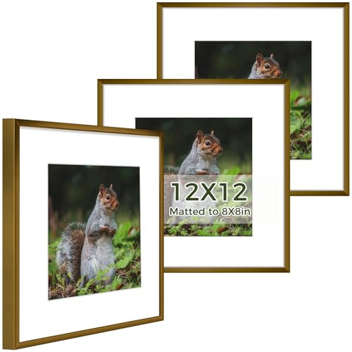 Golden State Art 12x12 Picture Frame 3 Pack - Aluminum Frames with 8x8 Removable Mats & Real Glass, Display 12x12 Posters or 8x8 Photos - Bronze Gallery Wall Frames for Home Office Decor