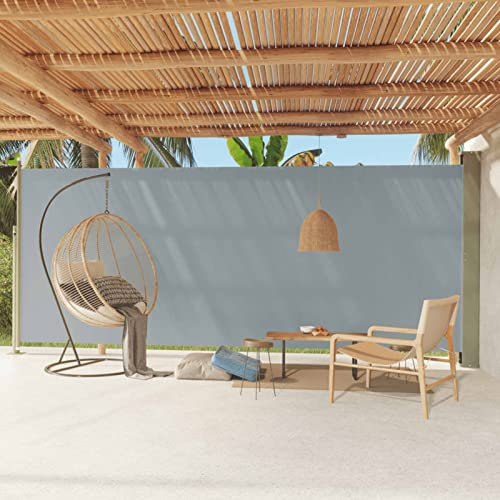 Iiaky Seitenmarkise Ausziehbar Sichtschutz Garten Sichtschutz Ausziehbar Markise Balkon Markise Seitenmarkise 220x600 cm Grau