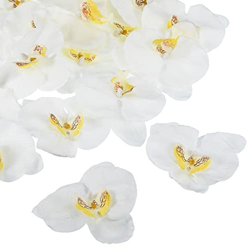 PATIKIL 20-pack 3,9 tum konstgjord orkidé blomhuvuden, siden, phalaenopsis, falsk fjärilsorkidé, huvuden för bröllop, bukett, dekor, gör-det-självare, tillverkning, vit