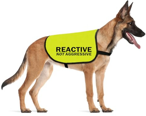 Cenwa Reactive Dog Jacket Vest - Not Aggressive Slogan Service Dog Training Vest (L EU)