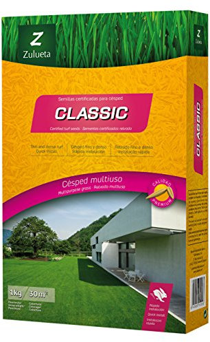 CLASSIC ZULUETA. Semilla césped ornamental clásico. 1Kg
