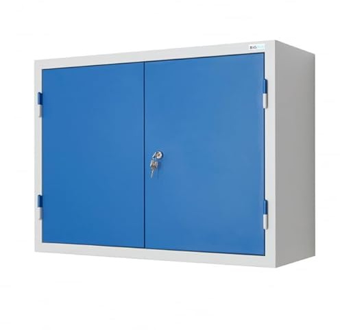 BiGDUG Wall Mounted Steel Cupboard - Storage Locker, Medical Cabinet - 2 Door 600h x 800w x 320d mm - Blue