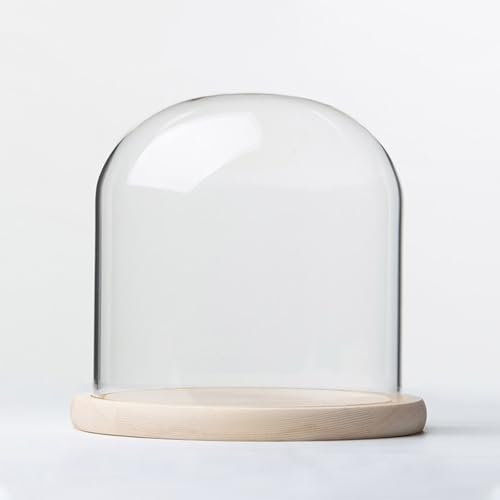 ENGFGH Campana Rotonda in Vetro con Base in Legno, Diametro 20 cm, Scatola di Presentazione Trasparente for esporre Piante, Fiori secchi, Decorazioni Fai da Te e Statuette.(20x20cm)