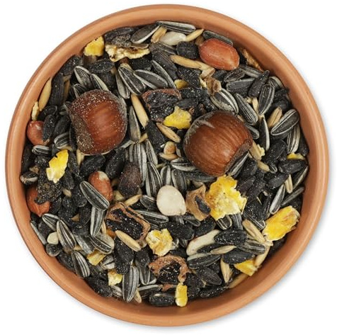 CJ Wildlife Nourriture Ecureuil Sauvage 2kg – Ecureuil – Aliment pour Animaux Sauvages