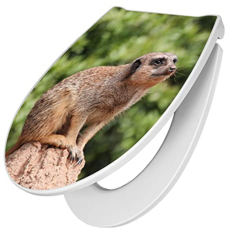 banjado® Premium Toilettendeckel mit Absenkautomatik 44x37cm mit Motiv Sitzendes Erdmännchen - WC Brille Soft Close - hygienischer Toilettendeckel/Klodeckel Duroplast mit Edelstahl Scharnieren