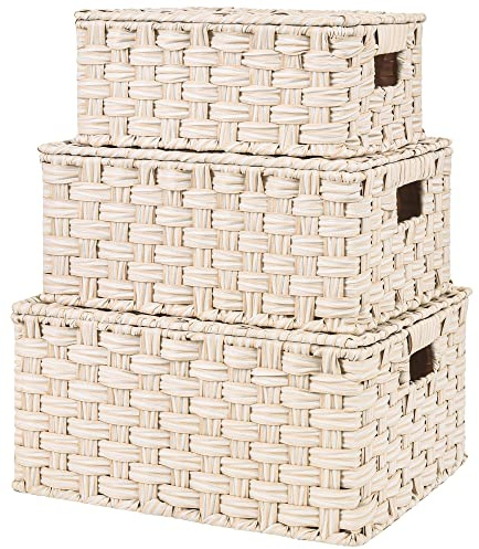 GRANNY SAYS Cestini portaoggetti con coperchio, set da 3 cestini vimini decorativi, robusti cesti con manici, cestino intrecciato per organizzare, cestino con coperchio per bagno, soggiorno, Bianco