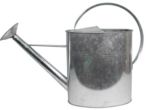 HOME IT® Arrosoir Galvanisé 10L avec Pomme Amovible – Arrosoir de Jardin en Acier Résistant – Design Classique – Facile à Utiliser et Nettoyer