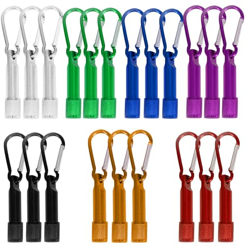WIYETY Porte-clés LED lampe de poche : 21 pièces mini lampe de poche porte-clés porte-clés lampe de poche pour enfants, lampe de poche colorée en aluminium avec crochet d'escalade