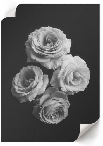Póster para Pared 59,4x84 cm| Tamaño A1 | Cuatro rosas