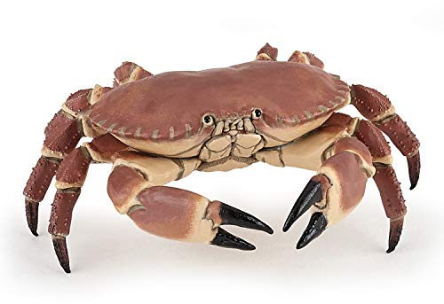 Papo - Figura de Cangrejo - Figurita Marina educativa - El Mundo Marino - Pintado a Mano - Estimula la imaginación, la curiosidad y el Aprendizaje - Juguete Educativo - para niños de 3 años