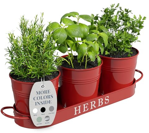 Barnyard Designs Set di 3 fioriere da giardino per erbe aromatiche da interno con vassoio o fioriera per finestre di appartamenti esterni, davanzale, fioriere da interni, vasi da giardino, vasi per