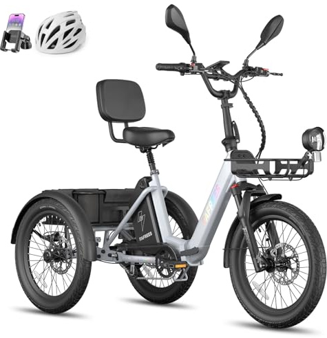Fafrees Triciclo Elettrico F20 MATE II, Bici da 250 W con 3 Ruote da 20*2,5, Batteria da 25Ah 1200Wh, Cestino + Portapacchi, Triciclo Elettrico da Carico per Adulti e Anziani (Grigio)