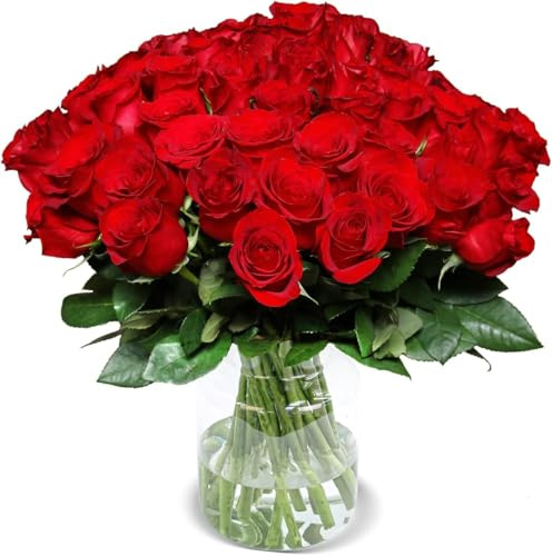 Rosenstrauß, 50 Rote Rosen als Ideales Blumengeschenk, 50 cm, Qualität vom Floristen, 7-Tage-Frischegarantie, Kostenloser Blumenversand
