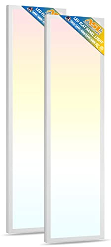 Allsmartlife 1x4FT LED Flat Panel Light Surface Mount, 24W/30W/40W, 4980LM Dimmable 5CCT 3000K-6000K, Edge-Lit Troffer Ceiling Light Fixture for Kitchen, White 2-Pack