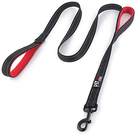 Pioneer Petcore Dog Lead 6ft Long,Traffic Padded Two Handle,Heavy Duty,Reflective Double Handles Lead for Control Safety Training,Leads for Large Dogs or Medium Dogs,Dual Handles Leashes(Black)