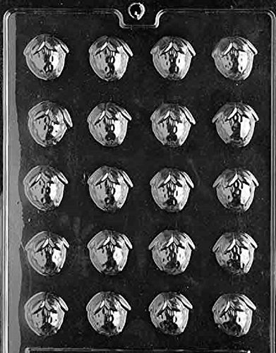 Grandmama's Goodies F017 Bite Size Strawberry Chocolate Candy Soap Mold with Exclusive Molding Instructions
