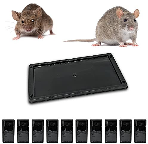 Repulseo® Piege a Souris Piege a Rat Colle, Plaques de Glue Anti Rongeur, Alternative Tapette Raticide Souricide [Glu Extra Forte Aromatisee] (10 Plaques Collantes)