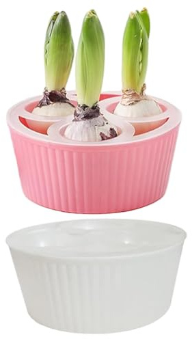 Takingup Confezione da 2 fioriere per bulbi per coltivazione - Vaso bianco a 3 scomparti con indicatore del livello dell'acqua per tulipani, giacinti e bulbi di narcisi - di giacinto