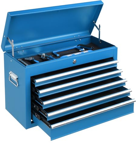 Winado 24 Portable Tool Box, 5 Drawer Tool Chest, Blue