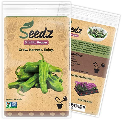 Organic Shishito Pepper Seeds (Approx. 55), 94% Germination Rate, Heirloom Vegetable Seeds, Certified Organic, Non GMO, Non Hybrid, USA