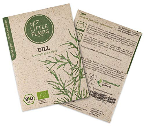 Little Plants BIO Dill Samen, 700 Dillsamen, hohe Keimrate, 100% Natürlich, BIO Samen Dill für Kräutergarten Küchenkräuter Hochbeet – BIO Kräutersamen Nachhaltig
