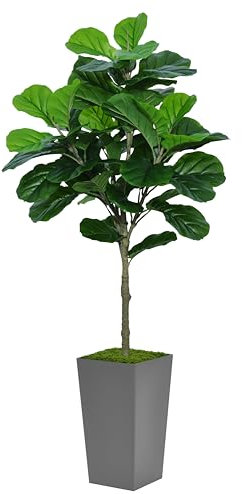 ASTIDY Künstlicher Feigenbaum, Feigenbaum, künstlicher Feigenbaum, 152 cm, mit grauem hohem Pflanzgefäß, künstliche Ficus-Lyrata-Bodenpflanze, künstlicher Feigenbaum für Zuhause, Büro, Wohnzimmer,