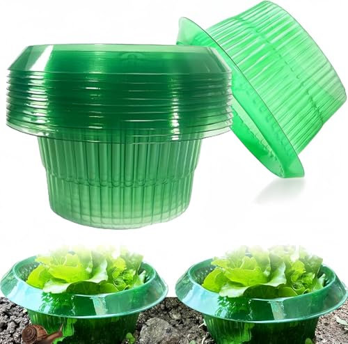 KAHEIGN 12Pcs Plastic Slug Collars, 20CM x 12CM Garden Plant Cloches Slug Snail Repellent Covers Slug Deterrent Barrier Collars for Salad Plants and Cabbage Protect (Green)
