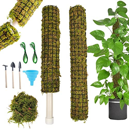Monstera Bâton de mousse à arrosage automatique pour plantes grimpantes – Tuteur de mousse de sphaigne pour plantes grimpantes d'intérieur Monstera