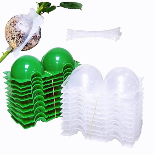 20 Pezzi Germogliatore Radicante per Piante, Semenzaio Germinazione Attrezzi Giardinaggio Grow Box Kit Completo Radicante per Talee Scatola Radicamento Piante Mini Serra per Piante per Innesti