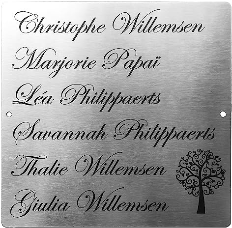 GUIZZO Creart - Numero Civico Esterno in Acciaio Inox, Targa Personalizzata con Numeri Civici Esterni, Via e/o Famiglia e Nomi Made in Italy, Personalizzata Porta Ingresso Esterno, 20x20H cm