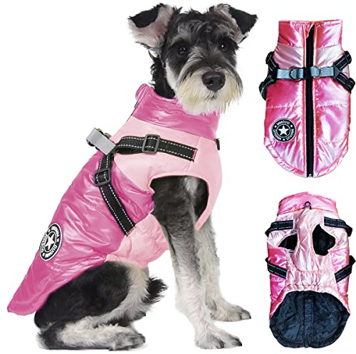 Perro Chaqueta Otoño Invierno, RosyFate Chaleco Mascota Pequeño, Abrigo Perro Pequeño Impermeable, Ropa Invierno Perro Pequeño, Cálido Chaleco Prueba de Viento (Rosa L)