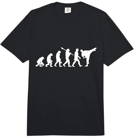 Aikido Evolution - Aikido Aikido Fighter Aikido Suit Aikido Comfort Colors Adult Heavyweight T-Shirt