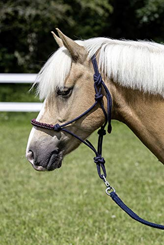 USG 15050024 Knotenhalfter, umflochtener Nasenriemen mit Glitzersteinchen, Navy, Shetty/Pony