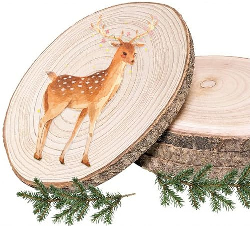 Rodajas de Madera, Troncos Madera Decoracion Diámetro 18-20cm Discos de Madera Natural con Corteza 20mm de Grosor para Pintura Posavasos Decoracion Bodas Navidad