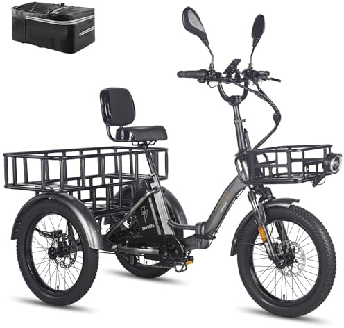 Fafrees F20 Mate E-Bike Dreirad 23,45Ah/1125,6Wh Akku Straßenzulaßung [ Offiziell ] Ebike Herren 180kg, Elektrofahrrad Damen Hydraulische Scheibenbremsen 65N.m, Electric Bike, 3 Räder Erwachsene