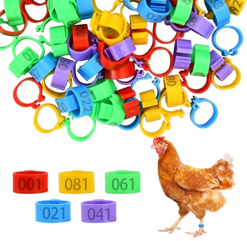 Wisebom Hähnchen Beinringe 100 Stück Hühnchen Identifikation Beine Ringe, 16mm Hühnerringe mit Bunter Zahl, Plastik Geflügel Fußringe, Hühner Fußringe für Enten, Hühnchen, Goose (5 Farben)