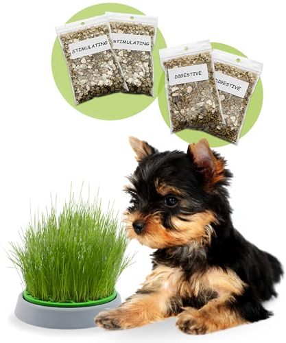 R&R SHOP - Kit Erba Cane Double Seeds - Vaso Germinante, 2 tipologie di Erba Cane, Stimolante e Digestiva, 4 Bustine di Semi e Substrato, Adatto a Tutti i Cani