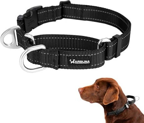 Arblina Martingale halsband, reflekterande dragstopp halsband hundar för stora medelstora och små hundar, nylon hundhalsband anti-drag, anti-draghalsband för hundar, svart, M