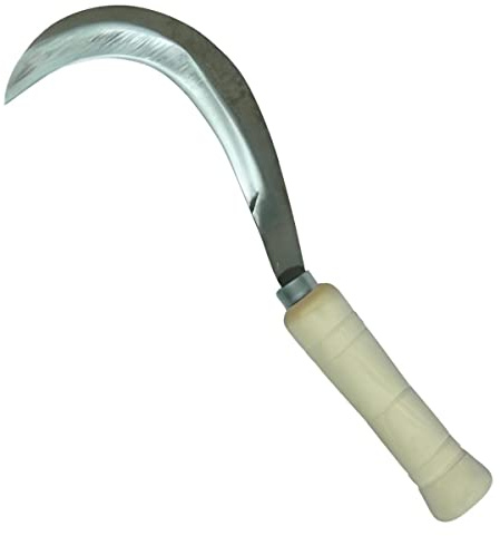 Tranchet faucille canarien avec manche en bois coloris naturel - 24 cm
