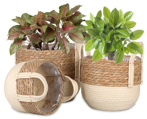 JNRFTY 3er Pflanzkorb Blumenkorb Geflochten, Handgewebter Übertöpfe Blumentopf Pflanzkorb für Drinnen Draußen,mit wasserdichtem Kunststofffutter und Griffen