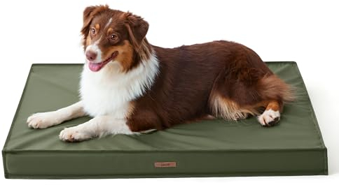 LE SURE Outdoor Waterproof Dog Bed Medium Size Dogs, Orthopedic Egg Crate Foam Pet Bed with Oxford Fabric Surface and Removable Washable Cover, Pet Mat 30''x20'', Green