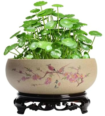 Lotus växt, hydroponisk blomkruka för inomhusbruk, kinesisk keramisk lotusblomkruka med stativ, hydroponisk bonsaiskål, lämplig för kontor, trädgård, inomhus och utomhus