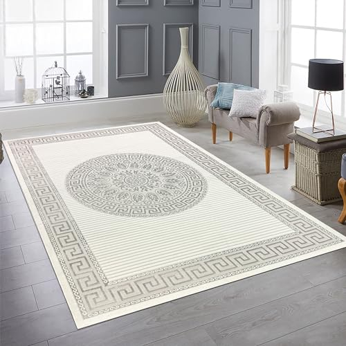 Teppich-Traum Wohnzimmer Schlafzimmer Teppich Kurzflor Designerteppich Orient modern edel elegant glänzend Creme grau 200x290 cm