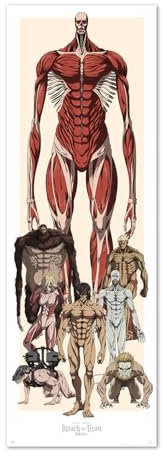 Grupo Erik: Attack on Titan Door and Wall Art | 53 x 158 cm Glossy Paper Poster With Frame, AOT Gadget