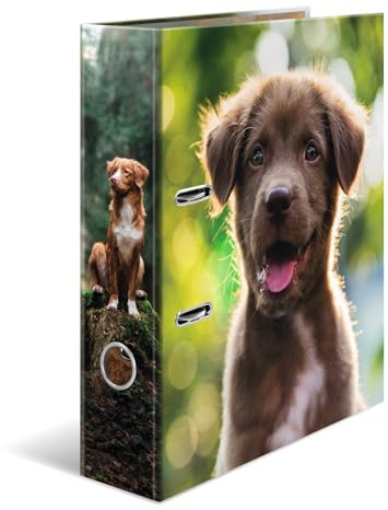 Herma Folder A4 Dog, 7 cm Wide, Children's Ring Binder with Animal Motif, Colourful Lever Arch File with Inner Print for Boys and Girls